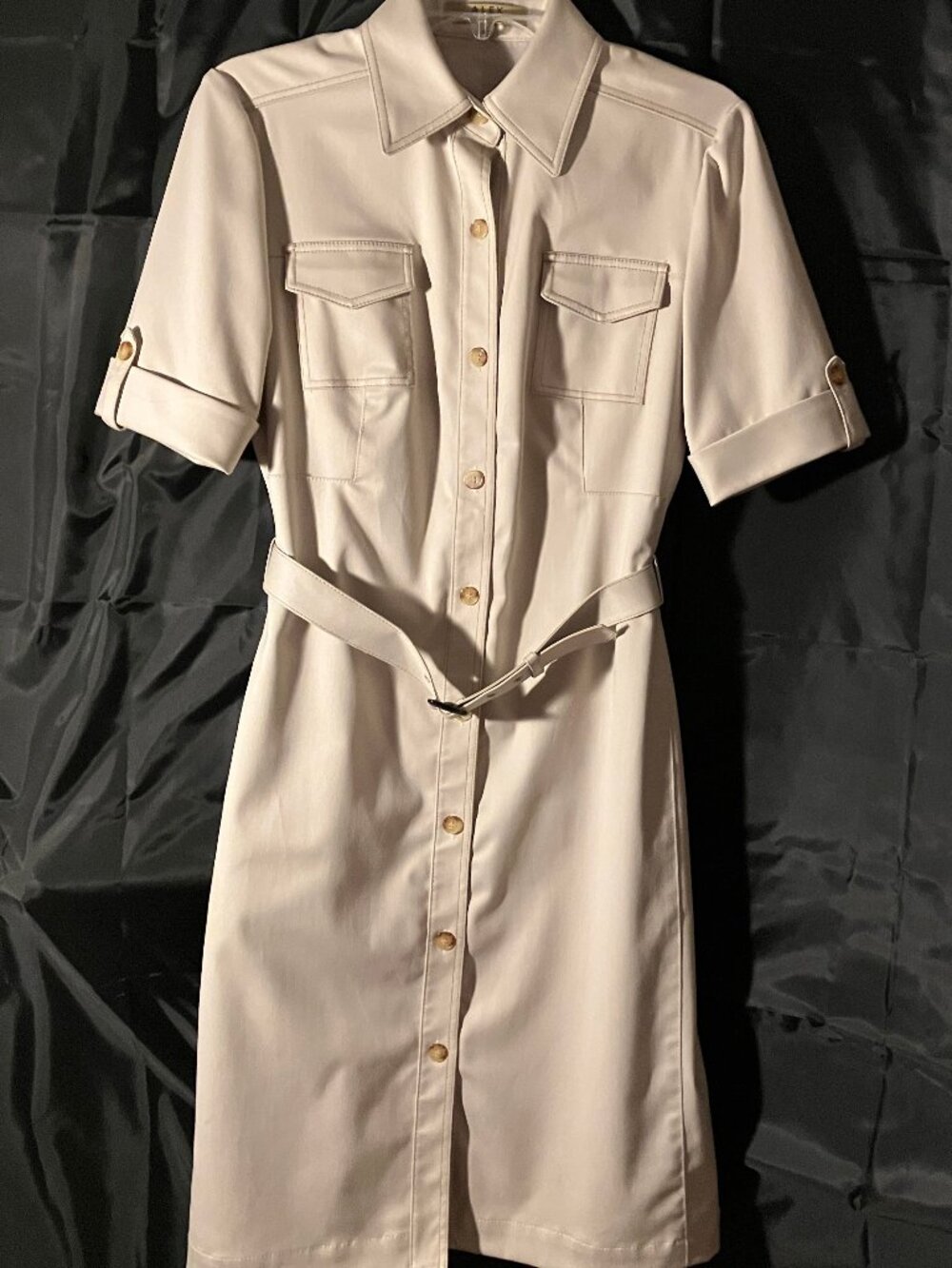 Alex Marie dress